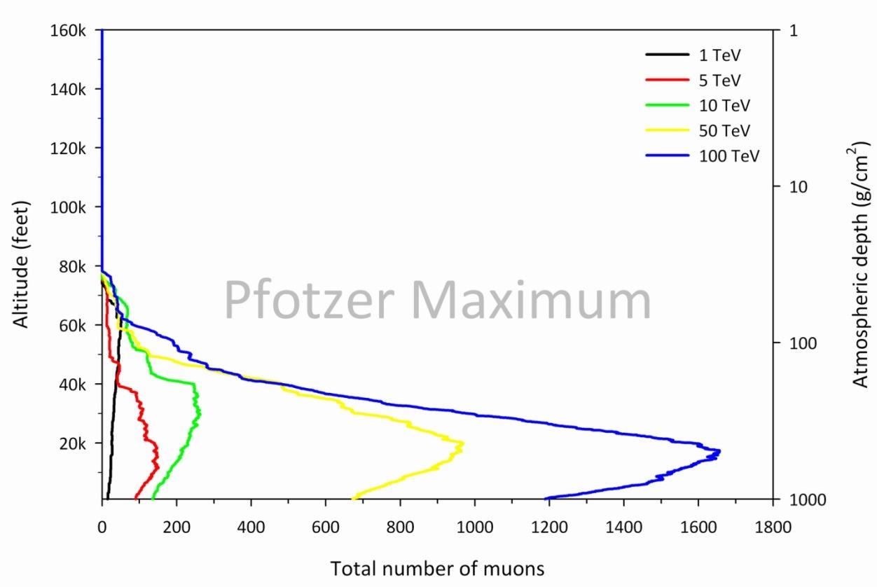 The total muon count is modeled using the Monte Carlo code CORSIKA as a function of depth for various incident proton energies in the TeV range